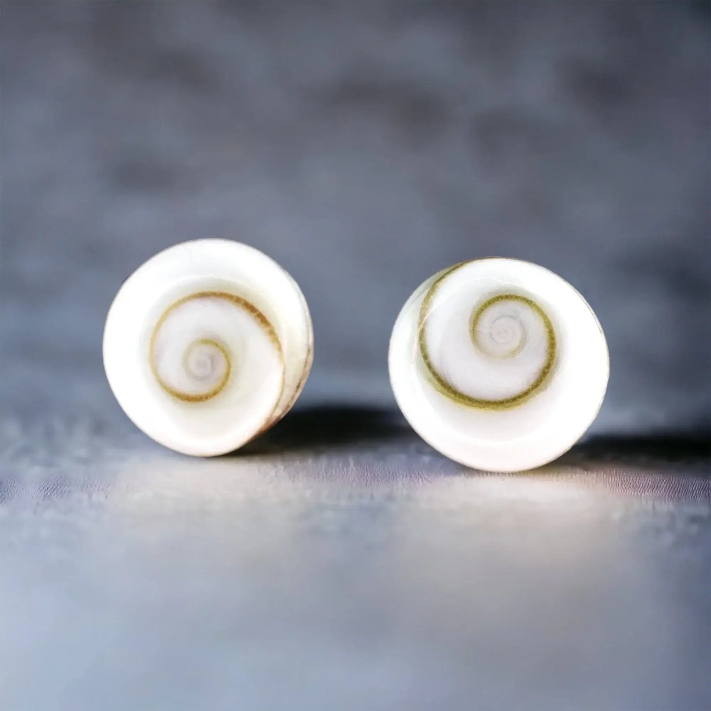 Muschel Ohrstecker aus 925er Silber mit Shiva Eye Muscheln, handgefertigt in Deutschland