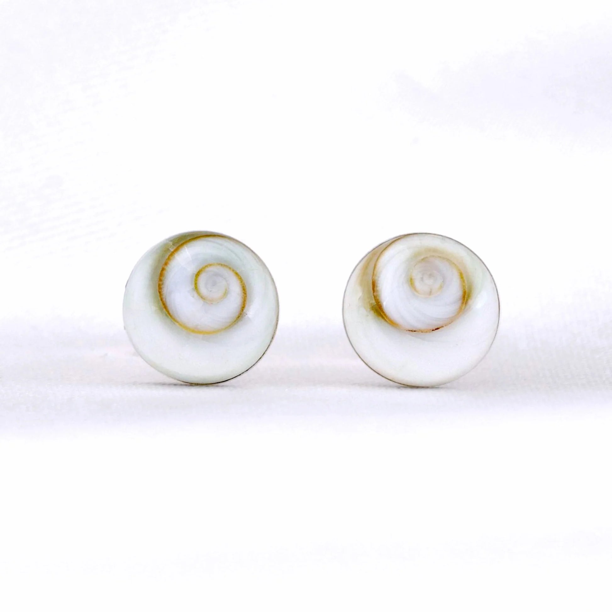 Paar Muschel-Ohrstecker aus 925er Silber mit Shiva Eye Muscheln, handgefertigt in Deutschland.