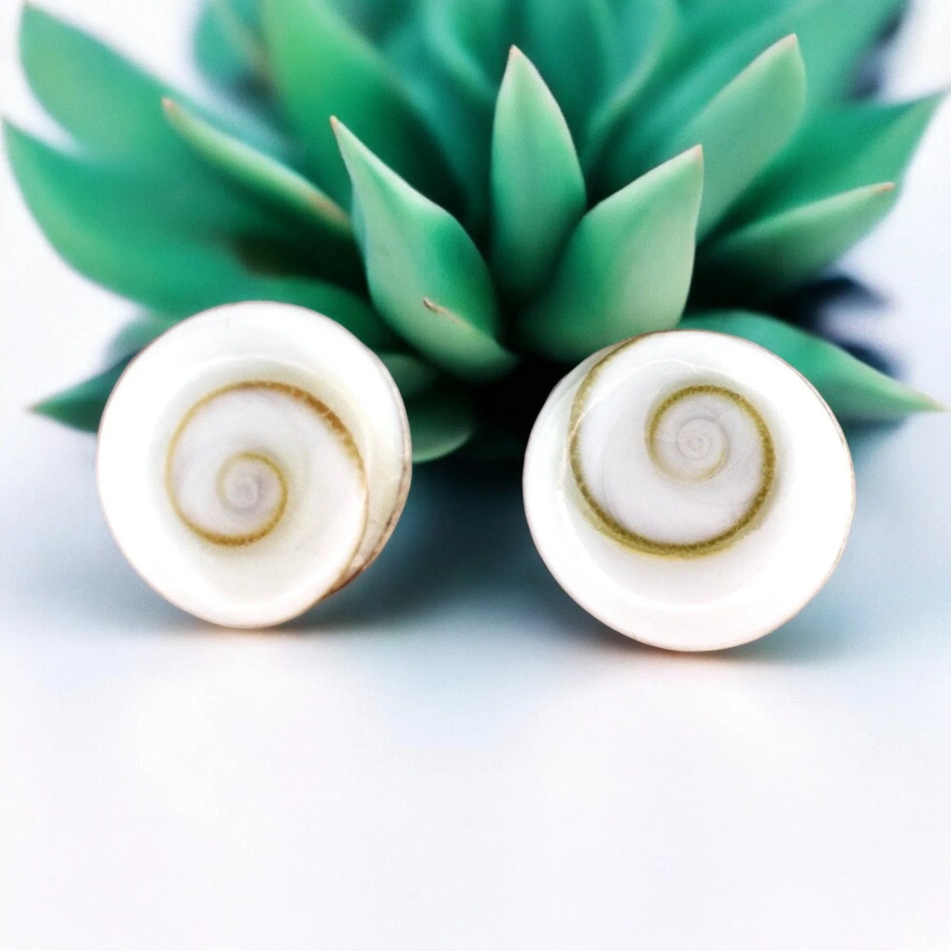 MadamLili Muschel Ohrstecker aus 925er Silber mit Shiva Eye Muscheln, handgefertigt in Deutschland