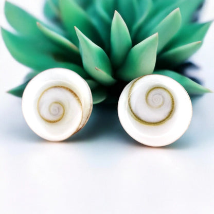 MadamLili Muschel Ohrstecker aus 925er Silber mit Shiva Eye Muscheln, handgefertigt in Deutschland