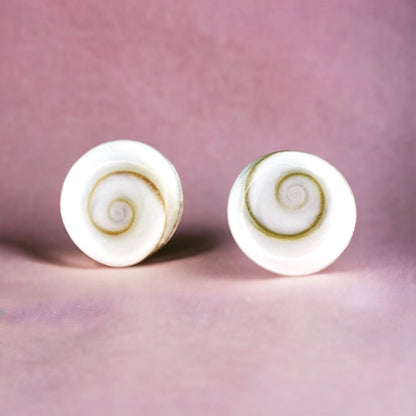Muschel-Ohrstecker aus 925er Silber mit Shiva Eye Muscheln, handgefertigt in Deutschland