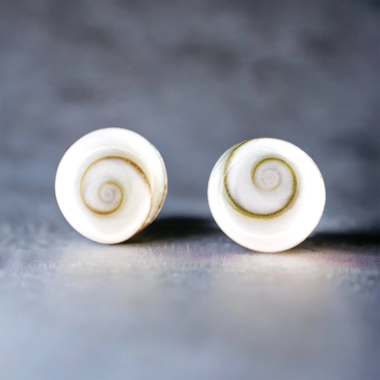 Muschel Ohrstecker aus 925er Silber mit Shiva Eye Muscheln, handgefertigt in Deutschland