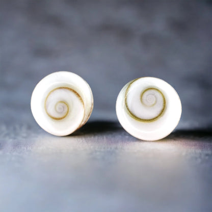 Muschel Ohrstecker aus 925er Silber mit Shiva Eye Muscheln, handgefertigt in Deutschland
